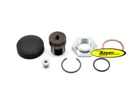 Spring retainer kit for Stanchion R65/80/100 Monolever