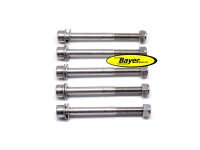 Screws (set) stainless steel,  for dual disc brake