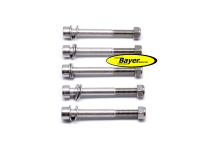 Screws (set) stainless steel,  for one brake disc