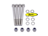 Screws (set) stainless steel, for Brakedisc M10x100