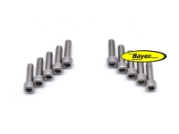 Hexagon socket screw (set) M6x20,  stainless steel