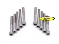 Hexagon socket screw (set) M6x45,  stainless steel