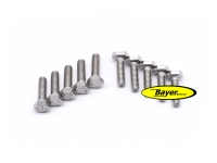 Hexagonal screw (set) M6x20,  stainless steel