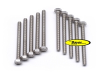 Hexagonal screw (set) M6x60,  stainless steel