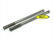 Wirth fork springset R80/100 GS from 1988