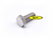 Screw, polished stainless steel, for headlamp mounting, BMW R2V model