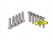 Hexagonal screw (set) M6x25,  stainless steel