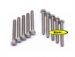 Hexagonal screw (set) M6x45,  stainless steel